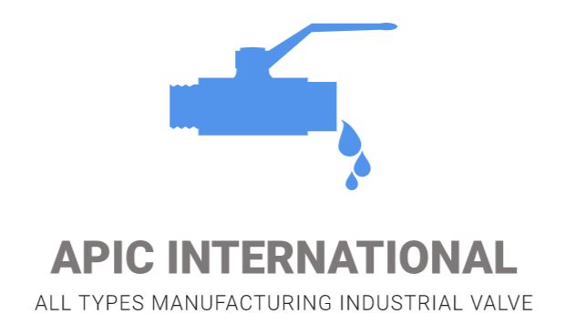 APIC International Logo